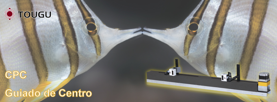 Guiador de Centro Automático Guiador de Centro Automático