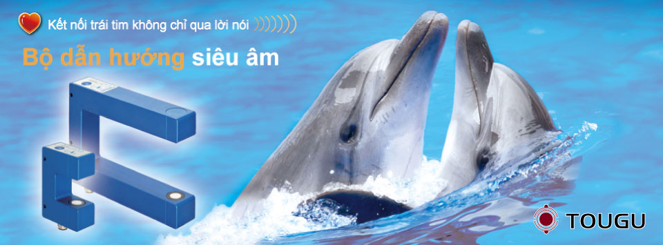 Bộ dẫn hướng Bộ dẫn hướng